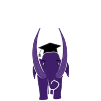 Graduation Commencement Sticker by Amherst College