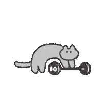 Cat Fitness Sticker
