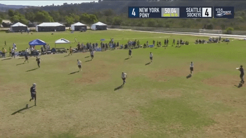 flikulti ultimate frisbee flik GIF