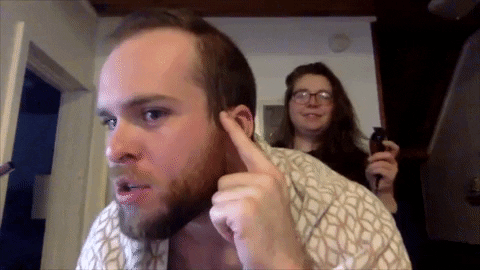 BDN_sschipani giphygifmaker GIF