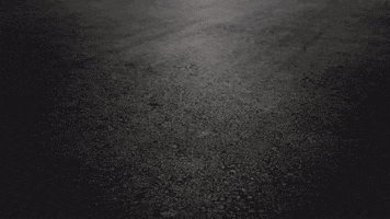 Mcleod GIF by TeamLethal