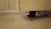Amazon Bathroom GIF by Woot!