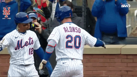 New York Mets Sport GIF by SNY