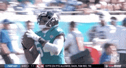 Regular Season Football GIF by NFL