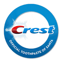 Christmas Smile Sticker by Crest