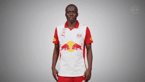 Army Salute GIF by FC Red Bull Salzburg