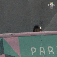 Olympic Games Sport GIF by NBC Olympics