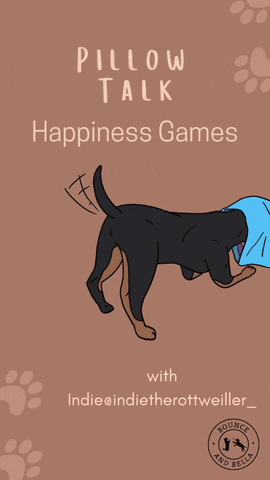 BounceandBella giphyupload dog treats dog games games for dogs GIF