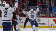 Happy Toronto Maple Leafs GIF by NHL