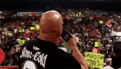 Hell Yeah Wwe GIF