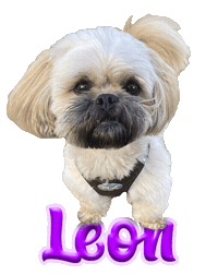 Dog Leon Sticker