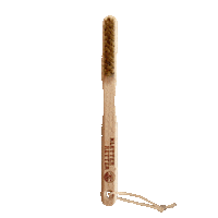 Brush Climbing Sticker by KletterRetter
