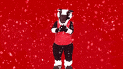 fun snow GIF by Brock University