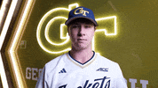 Georgia Tech Baseball GIF by Georgia Tech Yellow Jackets