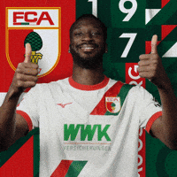 Football Bundesliga GIF by FC Augsburg 1907