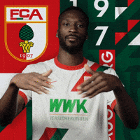Football Bundesliga GIF by FC Augsburg 1907