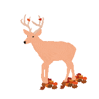 Autumn Leaves Sticker