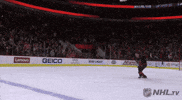 celebrate ice hockey GIF by NHL