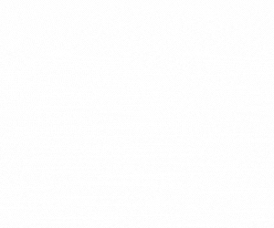 SEOZoom giphyupload GIF