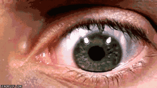 close up eyes GIF by Cheezburger