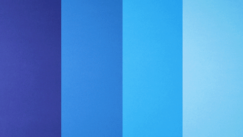GIF by Studio Flox