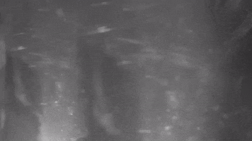 Heavy Metal GIF by Machine Head