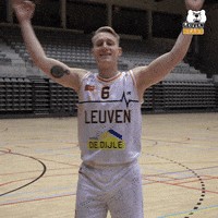 LeuvenBears arrow hit david shoot GIF