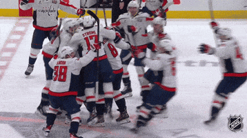 Happy Washington Capitals GIF by NHL