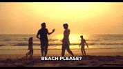 Cat Love GIF by saregama