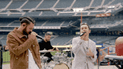 New York Mets Butterflies GIF by MAX