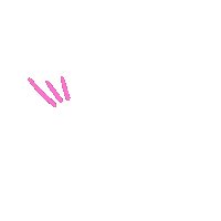 Lines Exclamation Sticker by Sunshine & Bo