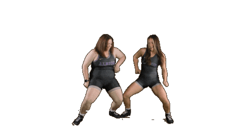 Ppp D3 Sticker by Albion College