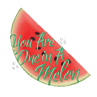 soulvitamins summer watermelon encouragement pun Sticker
