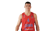 Basketball Ok Sticker by CSKA Moscow
