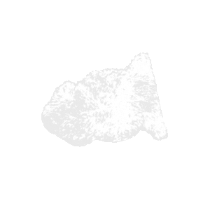 Sheepskin Rug Sticker by Apartment Therapy