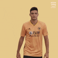 Premier League Football GIF by Prime Video