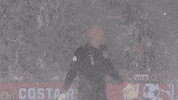 happy hands up GIF by U.S. Soccer Federation