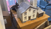 Model House GIF by Alex Boya