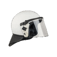 Accessories Ee Sticker by Polizei Österreich