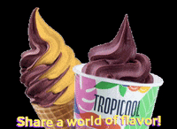 mytropicool mango acai mytropicool GIF
