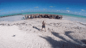 Partypokerlive poker paradise cpp partypoker GIF