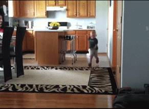 cat lol GIF by America's Funniest Home Videos
