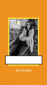 dotstripe tamara holland dotstripeuk dot stripe GIF