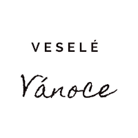 Christmas Vesele Vanoce Sticker by Honzík Lací