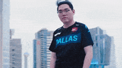 Overwatch Esports GIF by Envy