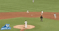 grand rapids baseball GIF by West Michigan Whitecaps 