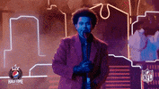 Super Bowl Football GIF by NFL