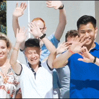 successinsider timhan success insider heartfluencer GIF
