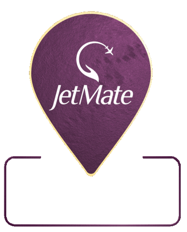 Fight Jet Sticker by JetMate - Online Flight Support