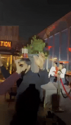 swebdev01  GIF